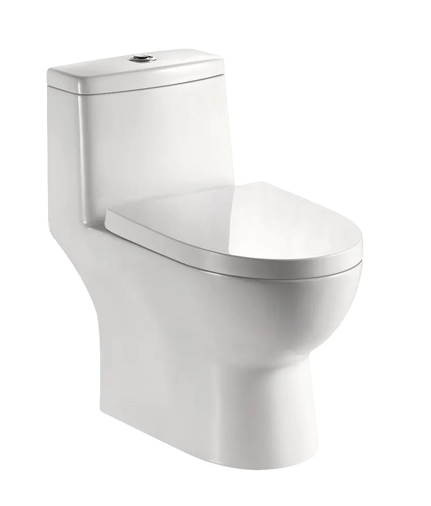 5601 S Trap One Piece Siphonic Toilet 300 Roughing-In，Including Fitting