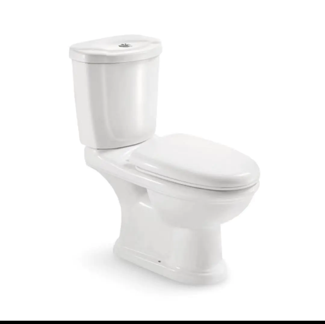 Europe Standard Washdown Two-Piece Toilet, P/S-Trap, QW-814