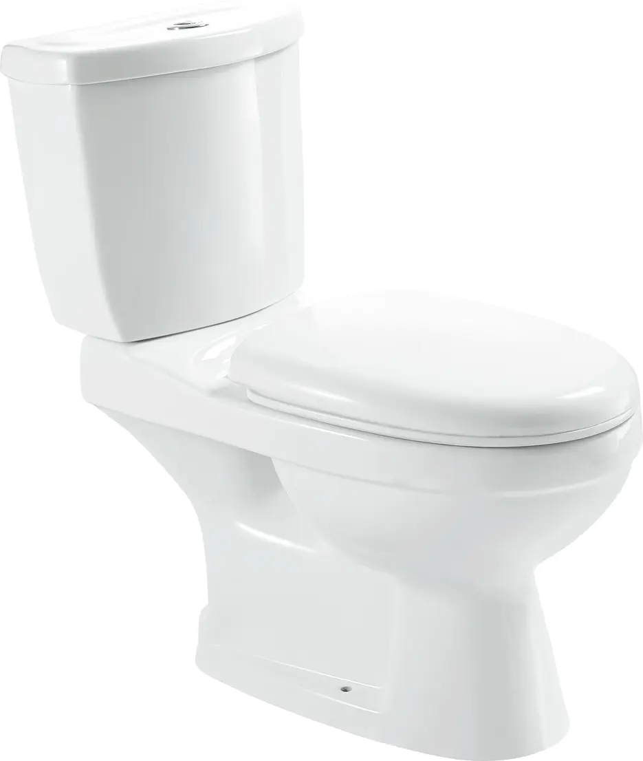 Europe Standard Washdown Two-Piece Toilet, P/S-Trap, QW-815