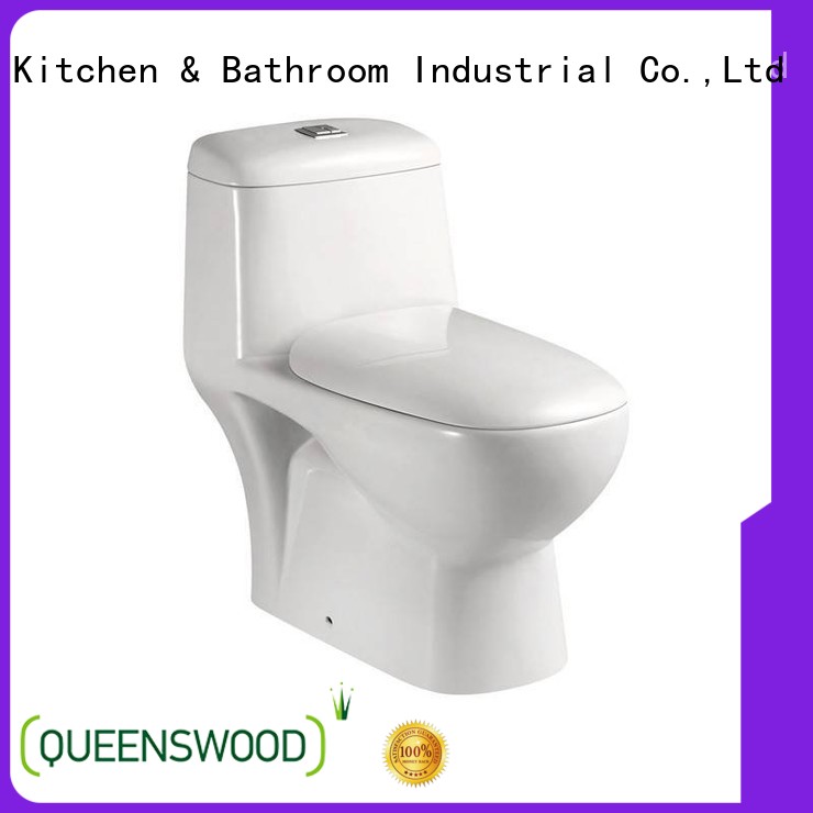 Europe Standard Washdown One Piece Toilet S Trap P Trap Qw