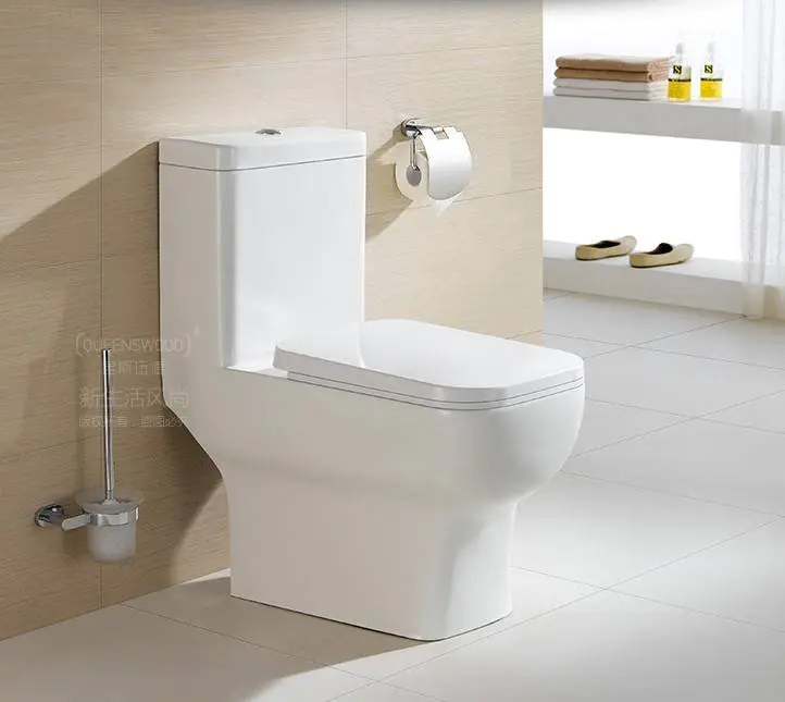 7002 S Trap One Piece Siphonic Toilet 300 Roughing-In，Including Fitting