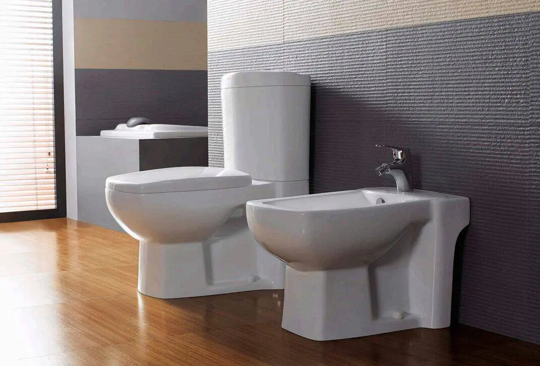 Ceramic Sanitary With Toilet, Bidet & Washbasin With Pedestal - Kandy Series