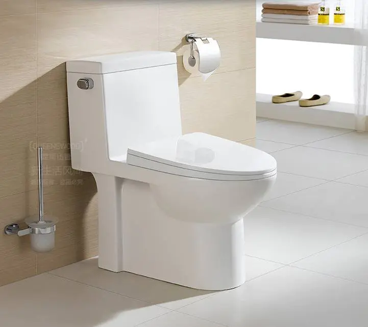 5603 S Trap One Piece Siphonic Toilet 300 Roughing-In