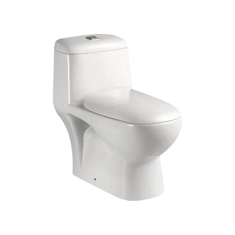 Europe Standard Washdown One-Piece Toilet, S-Trap Or P-Trap