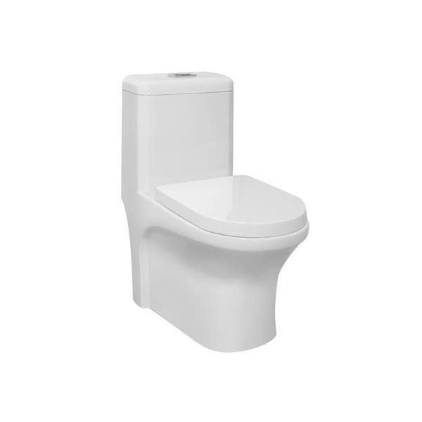 QUEENSWOOD Europe Standard Washdown One-Piece Toilet, S-Trap, QW-070201-2 Europe Standard Toilet image42