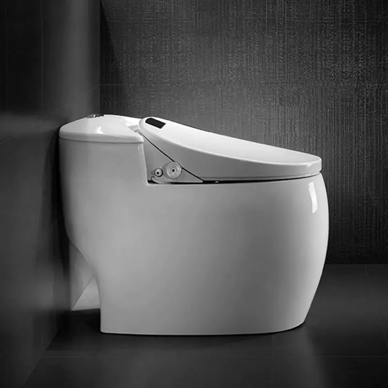Intelligent Toilet QW-112901
