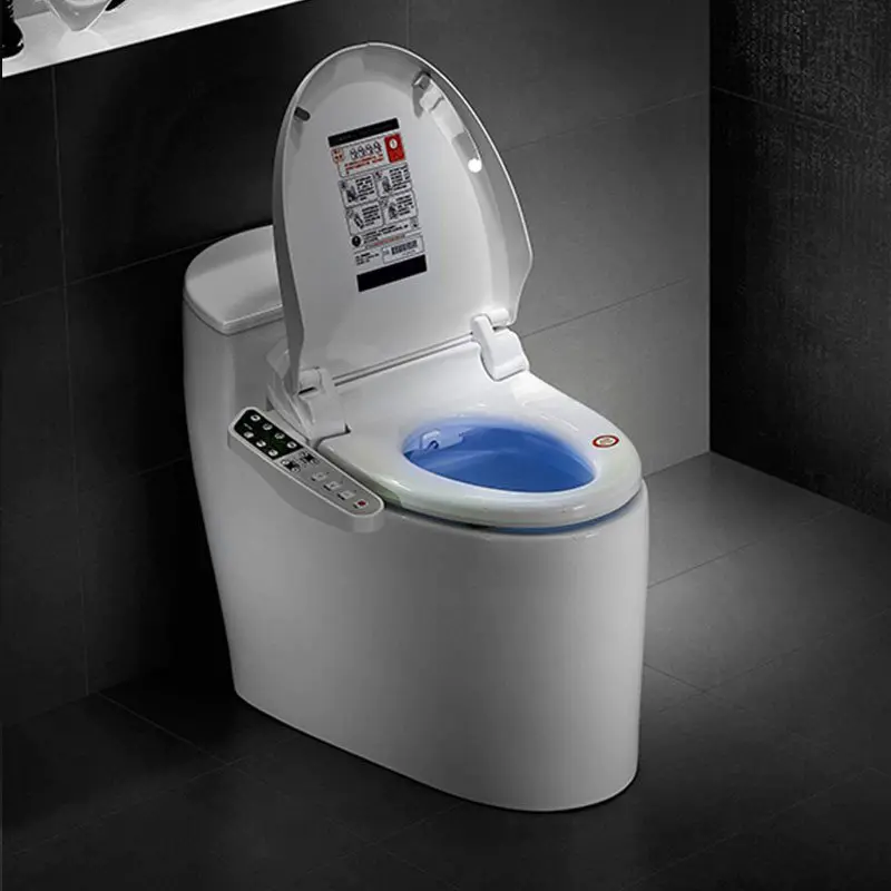Intelligent Toilet QW-11295599